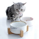 Marbling Ceramic Double Pet Bowl