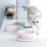 Marbling Ceramic Double Pet Bowl