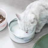 Marbling Ceramic Double Pet Bowl